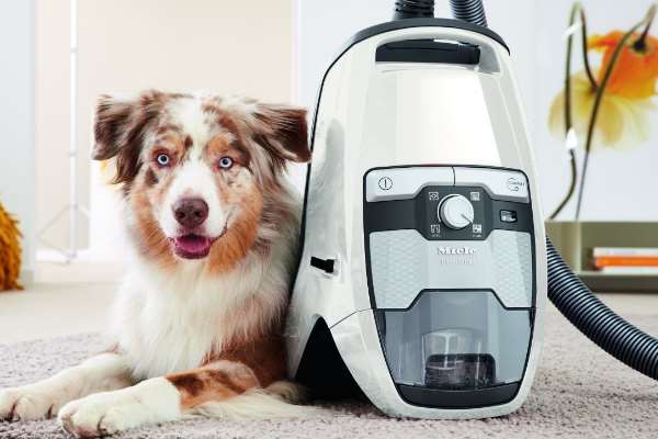 Miele CX-1 Blizzard - Cat & Dog — CJ Miller Vacuum Center Inc